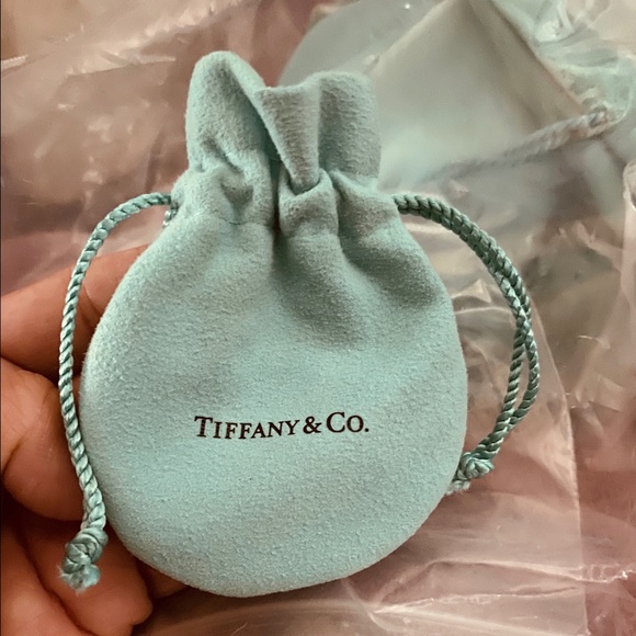 Tiffany & Co Blue Enamel Clasping Link NEW - Picture 4 of 4